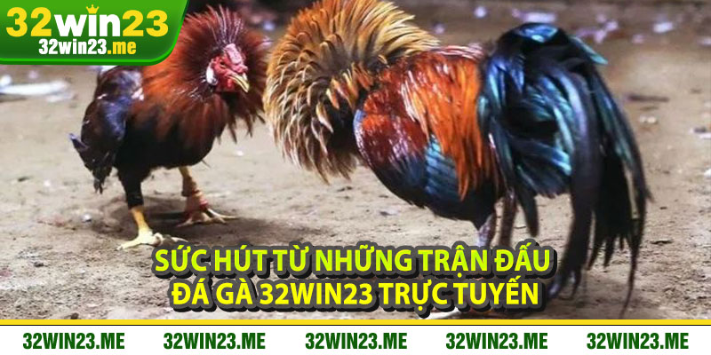Sức Hút Từ Những Trận Đấu Đá Gà 32WIN23 Trực Tuyến