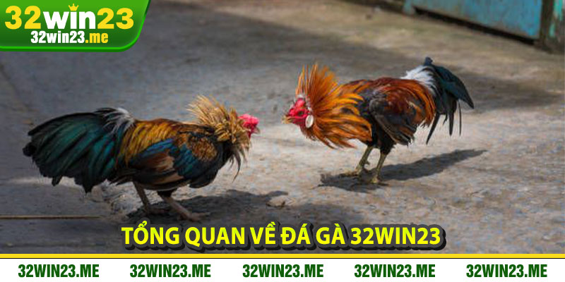 Tổng Quan Về Đá Gà 32WIN23