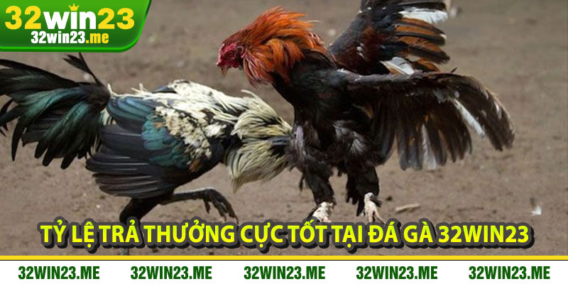 Tỷ Lệ Trả Thưởng Cực Tốt Tại Đá Gà 32WIN23