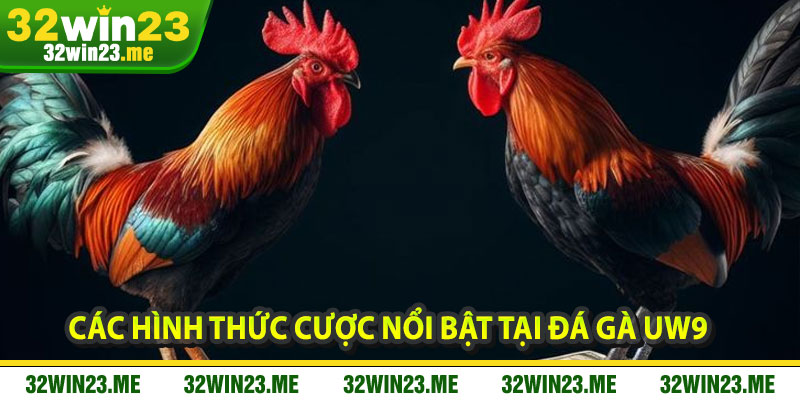 Các Hình Thức Cược Nổi Bật Tại Đá Gà UW9