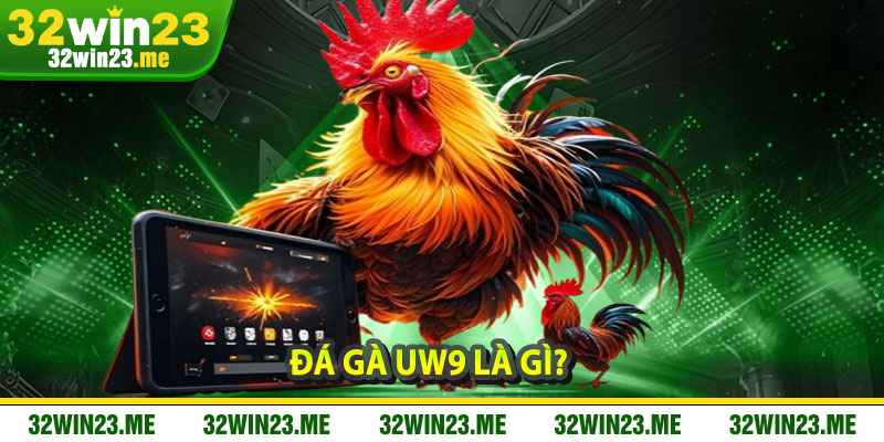 Đá Gà UW9 Là Gì?
